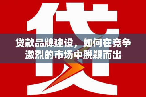 沧县贷款品牌建设，如何在竞争激烈的市场中脱颖而出