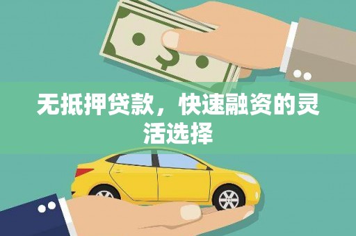 沧县无抵押贷款，快速融资的灵活选择