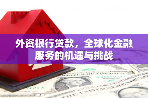沧县外资银行贷款，全球化金融服务的机遇与挑战