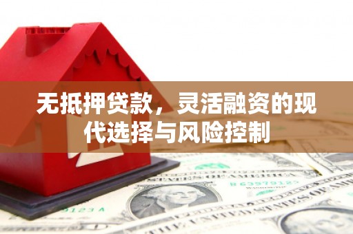 沧县无抵押贷款，灵活融资的现代选择与风险控制