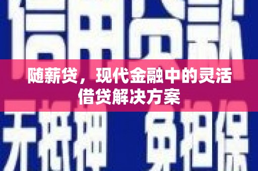 沧县随薪贷，现代金融中的灵活借贷解决方案