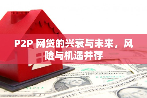 沧县P2P 网贷的兴衰与未来，风险与机遇并存