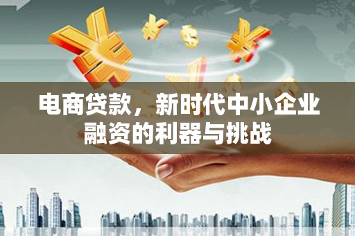 沧县电商贷款，新时代中小企业融资的利器与挑战