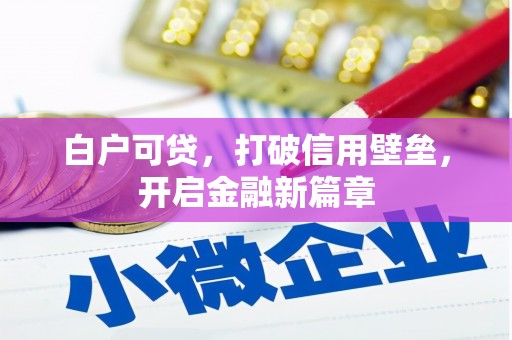 沧县白户可贷，打破信用壁垒，开启金融新篇章