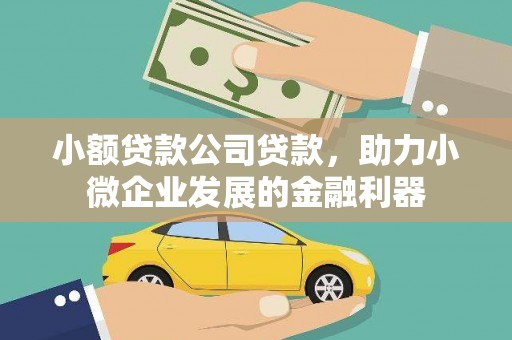 沧县小额贷款公司贷款，助力小微企业发展的金融利器