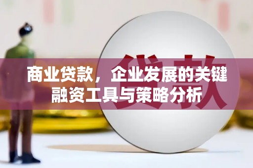 沧县商业贷款，企业发展的关键融资工具与策略分析