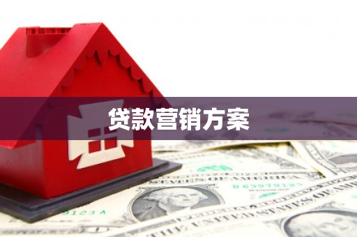 沧县贷款营销方案