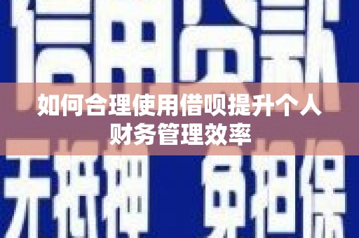 沧县如何合理使用借呗提升个人财务管理效率