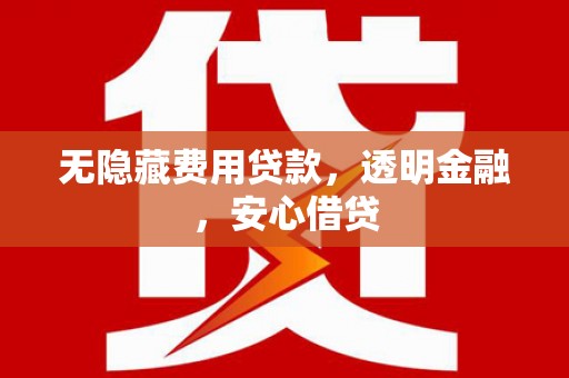 沧县无隐藏费用贷款，透明金融，安心借贷