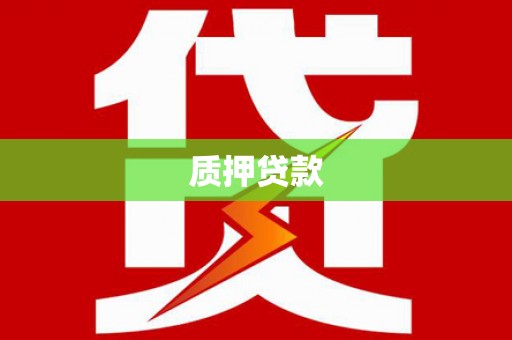 沧县质押贷款