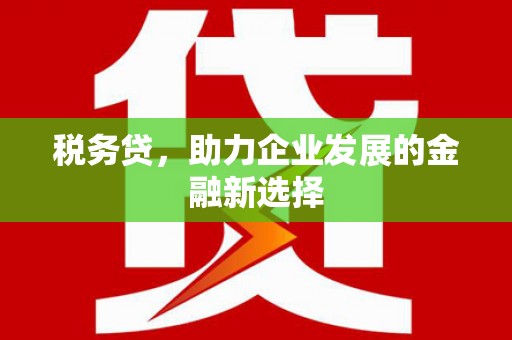 沧县税务贷，助力企业发展的金融新选择