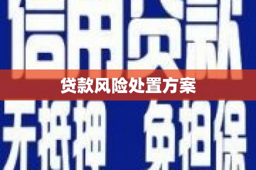 沧县贷款风险处置方案