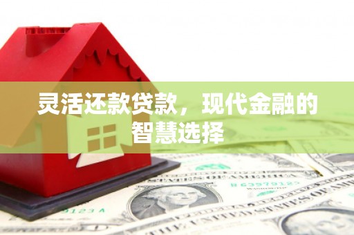 沧县灵活还款贷款，现代金融的智慧选择