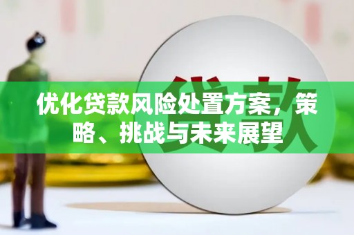 沧县优化贷款风险处置方案，策略、挑战与未来展望