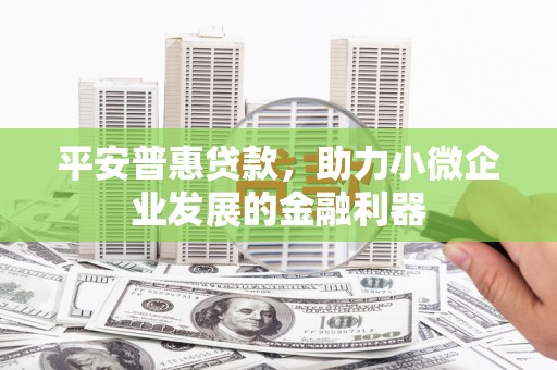 沧县平安普惠贷款，助力小微企业发展的金融利器