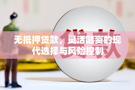 沧县无抵押贷款，灵活融资的现代选择与风险控制