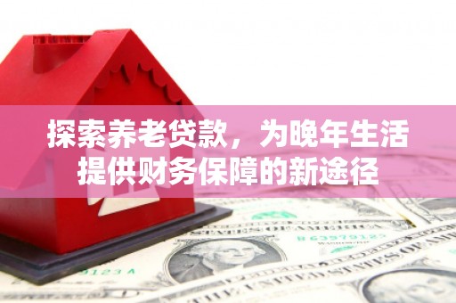 沧县探索养老贷款，为晚年生活提供财务保障的新途径