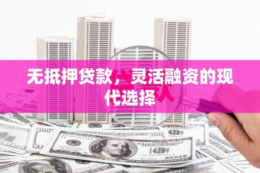 沧县无抵押贷款，灵活融资的现代选择