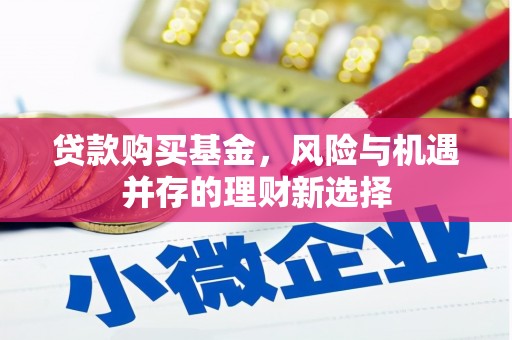沧县贷款购买基金，风险与机遇并存的理财新选择
