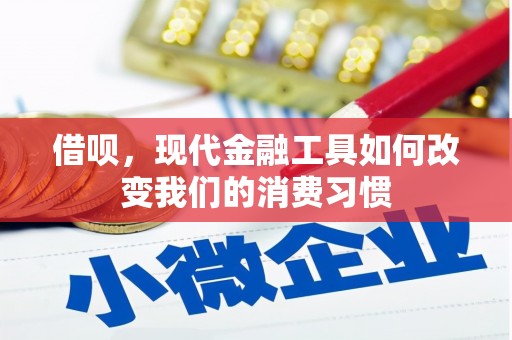 沧县借呗，现代金融工具如何改变我们的消费习惯