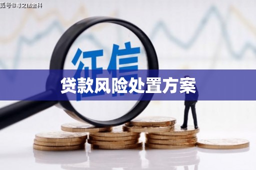 沧县贷款风险处置方案