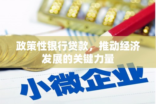 沧县政策性银行贷款，推动经济发展的关键力量