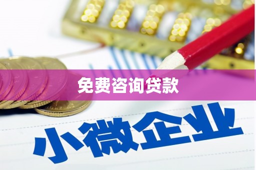 沧县免费咨询贷款