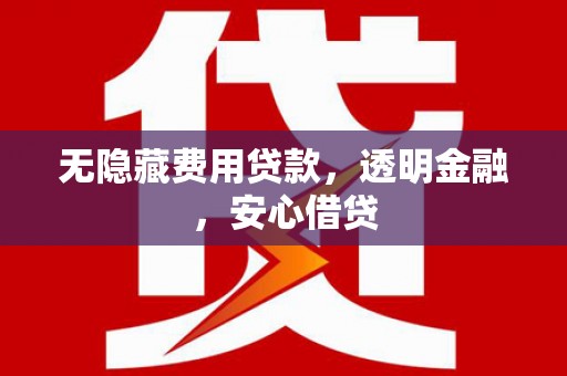 沧县无隐藏费用贷款，透明金融，安心借贷