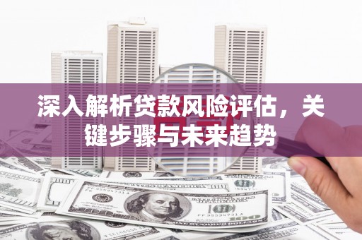 沧县深入解析贷款风险评估，关键步骤与未来趋势