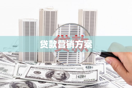 沧县贷款营销方案