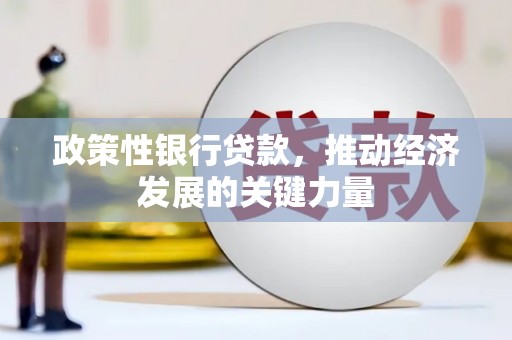 沧县政策性银行贷款，推动经济发展的关键力量