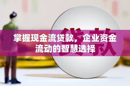 沧县掌握现金流贷款，企业资金流动的智慧选择
