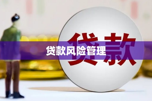 沧县贷款风险管理