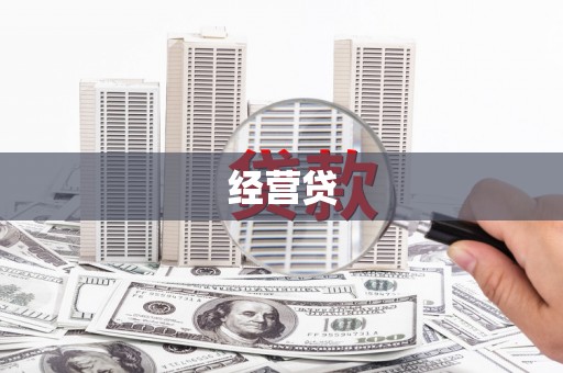 沧县经营贷