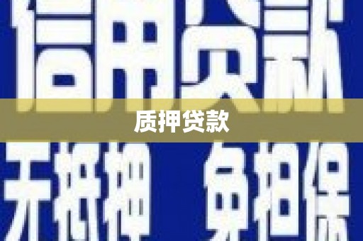 沧县质押贷款