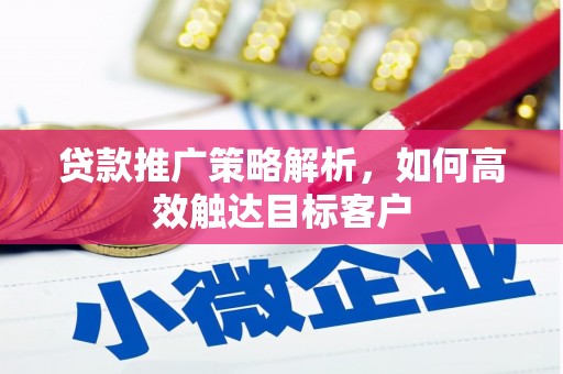 沧县贷款推广策略解析，如何高效触达目标客户
