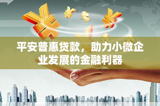 沧县平安普惠贷款，助力小微企业发展的金融利器