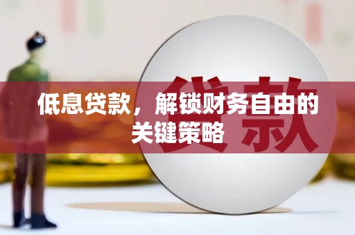 沧县低息贷款，解锁财务自由的关键策略