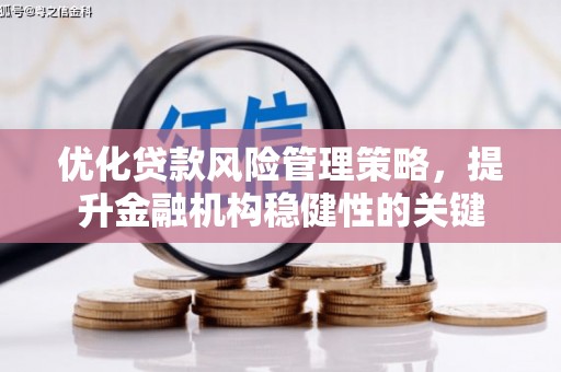 沧县优化贷款风险管理策略，提升金融机构稳健性的关键