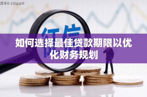 沧县如何选择最佳贷款期限以优化财务规划