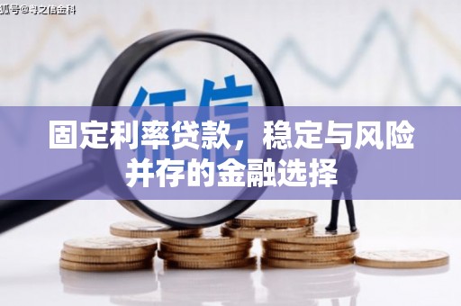 沧县固定利率贷款，稳定与风险并存的金融选择