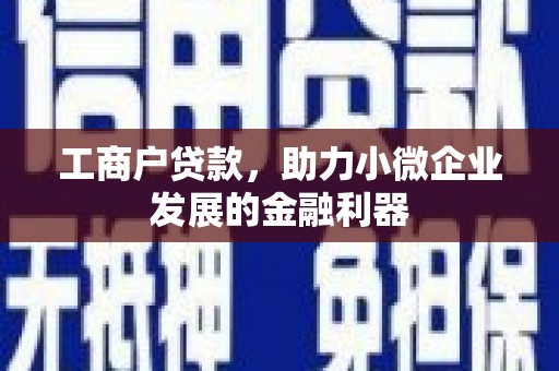 沧县工商户贷款，助力小微企业发展的金融利器