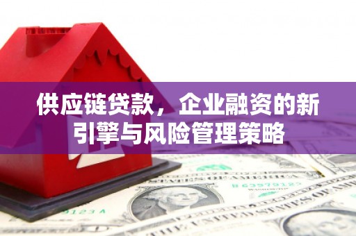 沧县供应链贷款，企业融资的新引擎与风险管理策略