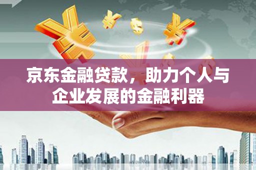 沧县京东金融贷款，助力个人与企业发展的金融利器