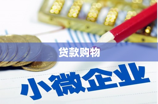 沧县贷款购物