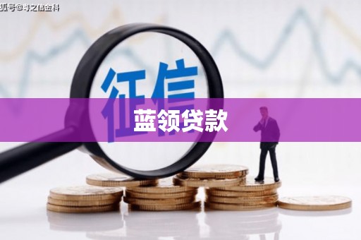 沧县蓝领贷款