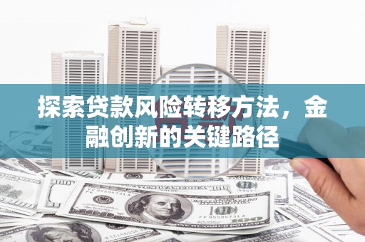 沧县探索贷款风险转移方法，金融创新的关键路径