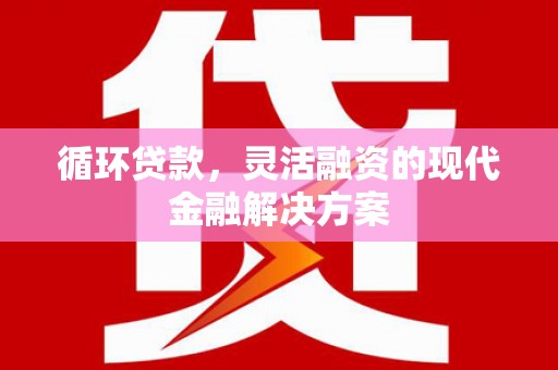 沧县循环贷款，灵活融资的现代金融解决方案