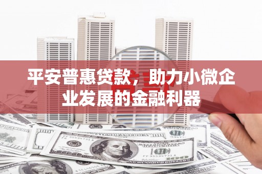 沧县平安普惠贷款，助力小微企业发展的金融利器