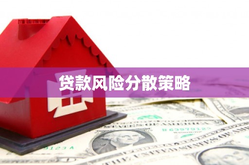 沧县贷款风险分散策略